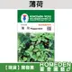 【台灣現貨】薄荷 H-015 香草種子 農友牌 小包裝種子 約100粒/包【HOMEDEN霍登園藝】