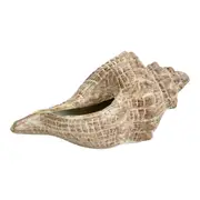 Decorative Shell Conoch Figurine Home/Office Room Tabletop Decor Rustic Brown