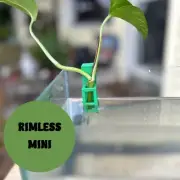 Mini Aquarium Pothos Plant Holder for Rimless Fish Tanks 3D Printed