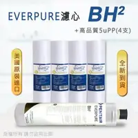 在飛比找森森購物網優惠-【Everpure】美國原廠平行輸入 BH2 濾心+高品質前