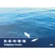 海豚的圈圈（DVD紀錄片）