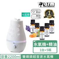 在飛比找momo購物網優惠-【Warm】雙噴頭香薰機薰香機加濕器超音波負離子水氧機W-2