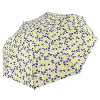在飛比找PChome24h購物優惠-RAINSTORY雨傘-時光花漾抗UV雙人自動傘