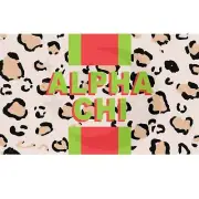 Alpha Chi Omega Sorority Flag- Cheetah-New!