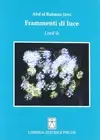 Jâmi Abd al Rahmân S. Foti Frammenti di luce. Liwâ'ih (Paperback)