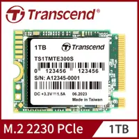 在飛比找PChome24h購物優惠-Transcend 創見 MTE300S M.2 2230 