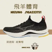 在飛比找蝦皮購物優惠-飛羊體育🐑MIZUNO 美津濃 零碼〔 29.0〕J1GA2