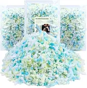 Shredded Foam Refill, 600g Premium Memory Filling Foam Refill for Bean Bag Chair, Pillow, Dog Beds, Chairs, Arts Crafts, and More