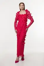Applique Lace Long Sleeve Woven Midi Dress