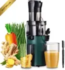 Electric Juicer Cold Press Slow Masticating Wide Chute 200W