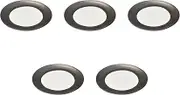 Set of 5, Iron Kannon Rim 9 Inch Plate, 11.2 x 1.0 inches (28.5 x 2.6 cm) | Setomonohonpo