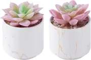 Succulents Plants Artificial, Mini Fake Succulents in White Ceramic Pots for Des