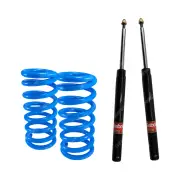 Front Gabriel Ultra Strut Cartridge Shocks Coil Springs for Holden Commodore VK