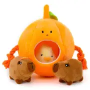 Small Dog Toys, Fruit and Animal Crinkle Plush Stuffed Dog Toy, Hide and Seek...
