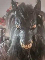 Beautiful Werewolf Mask By October Studios. Brand New. Never Worn