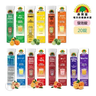 SUNLIFE 森萊富 發泡錠 20錠 24錠 維他命C1000 C 鎂 B群+電解質 鐵+C 鋅+C+E 綜合維他命 【立赫藥局】