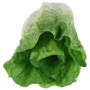 Artificial Lettuce Leaves Realistic Prop Simulation Vegetables Child