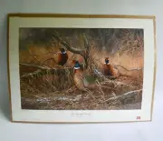 "First Dusting - Pheasants" Print Miller High Life Sponsor Edition SEALED, RARE!