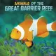 Animals of the Great Barrier Reef