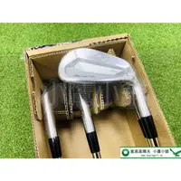 在飛比找蝦皮購物優惠-[小鷹小舖] [夏季優惠] 鐵身 Mizuno Pro 22