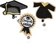 GARIOUANS 3pcs Graduation Season Id Folder Card Id Badge Holder with Lanyard Belt Holders Retractable Lanyards for Id Badges Pin Chain Wallet Reels Clear Carabiner Phone Making Metal