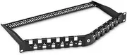 tecmac Blank Angled Patch Panel, 24-Port, 1RU, Cable Management Bar Included