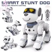 Robot Dog Remote Control Toy For Kids RC Robot Dog Interactive & Smart Birthday