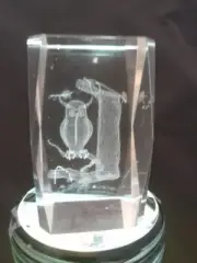 Owl a Woodland Tresure, Crystal Glass Laser Etched PaperweightW