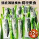 挪威薄鹽鯖魚片 買10送1免運組 單片不到$48元~超級便宜!!!