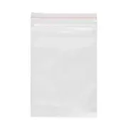 Resealable Landscape Deli Bag Ctn/500 BBQ Chicken Hot Carry Food