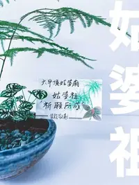 在飛比找Yahoo!奇摩拍賣優惠-溫栽｡weplant∥ 獻供禮盆 觀葉文竹金線蓮迷你彩葉陶瓷