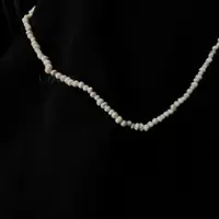 在飛比找蝦皮購物優惠-現貨｜Pearl | type7 | necklace | 