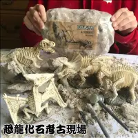 在飛比找蝦皮購物優惠-考古恐龍玩具(30公分大恐龍) 考古恐龍化石 考古恐龍挖掘D