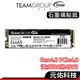 TEAM十銓 T-Force Z44A5 黑曜女神 SSD固態硬碟 1TB 2TB Gen4 PCIE4.0 石墨烯貼紙