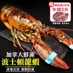 第二件送好禮【海肉管家】活凍波士頓龍蝦(2尾_400-500g/尾)