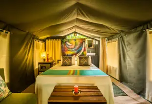 威帕圖瑪霍拉帳篷野生動物園營地飯店 - 全包式
