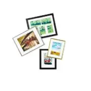 Timeless Frames Metal Picture Photo Frame 8" x 10" Matted to fit 5" x 7" Pack /2