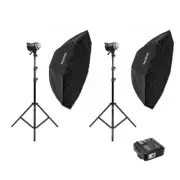 Godox 'Home Studio' Starter 600W (2 x MS300-V) Studio Flash Lighting Photogra...