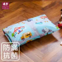 在飛比找momo購物網優惠-【HongYew 鴻宇】防蹣抗菌 兒童透氣多孔纖維枕(枕頭 