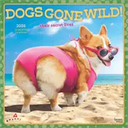 2025 Avanti Dogs Gone Wild Wall Calendar
