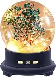 Crystal Ball Speaker, Music Box Speaker - Forever Flower Night Light with Wireless Speaker - Easy to Carry Eternal Rose Speaker for Mother, Mother's Day, for Women