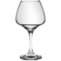 在飛比找momo購物網優惠-【Pulsiva】Amarella紅酒杯 455ml(調酒杯