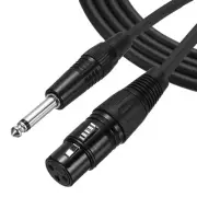 10 ft 6.35mm (1/4") TS Female to XLR Male Interconnect Audio Microphone Cable