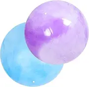GANAZONO 2 Sets Thick Marble Pattern Exercise Balls for Pregnancy and Fitness Includes Pump for Stability and Balance Training for