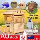 Wooden Bee Hive Beekeeping Frames Beehive House 7x Honey Comb Frame Kit Garden
