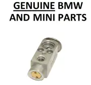 GENUINE MINI R50 R52 R53 Air Conditioning Expansion Valve 64516924984. 21B