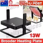 13W Chicken Brooder Heat Plate, 27x27cm, Ideal for Chick Coop, Ducklings