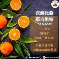 在飛比找蝦皮購物優惠-新鮮貨~【咖啡熟豆系列】衣索比亞 耶吉尼特 古吉產區 G1等