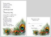 100 Personalized Custom Peacock Feather Swirl Bridal Wedding Invitations Set