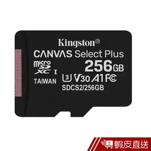 Kingston 金士頓 256G 100MB/s U3 microSD A1 V30 記憶卡 現貨 蝦皮直送